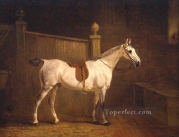 馬 Painting - am091D 動物 馬